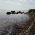 Kattegat-1