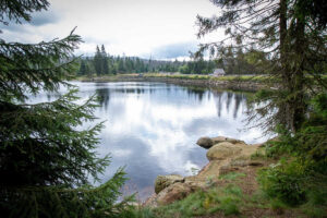 Oderteich_1