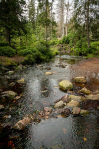 Oderteich_10
