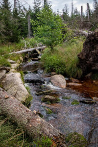 Oderteich_12