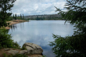 Oderteich_3