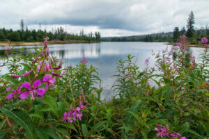 Oderteich_5