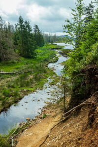 Oderteich_8