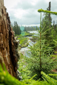 Oderteich_9