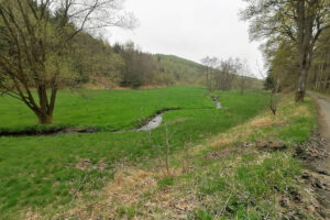 Saale-2