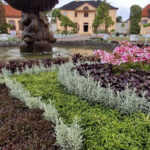 Belvedere-3