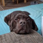 photo_2025-03-07_08-56-15