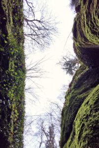 Drachenschlucht-3