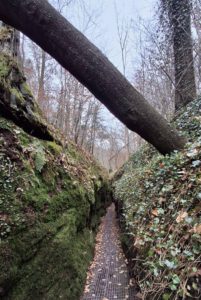 Drachenschlucht-6