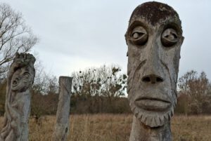 Hainich-3