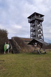 Hainich-5